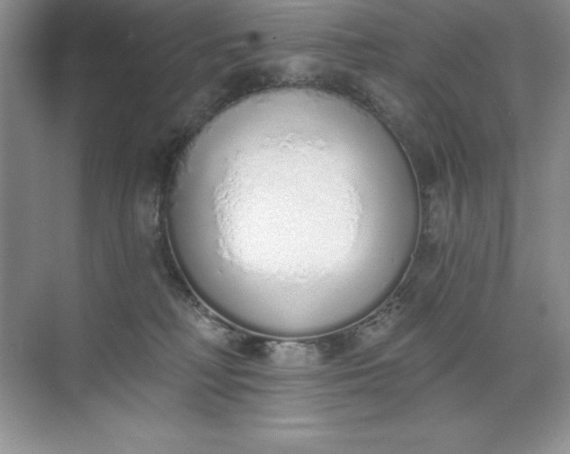 X0000071940230200607212209