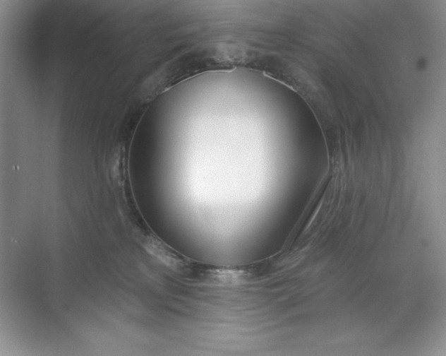 X0000071940233200607212208