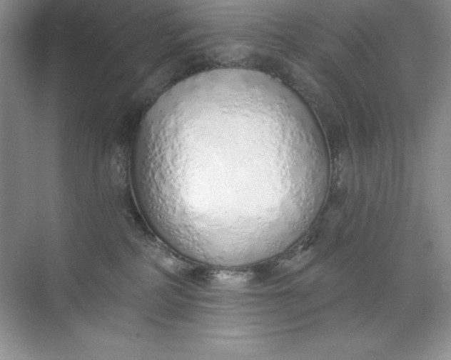 X0000071940234200607212208