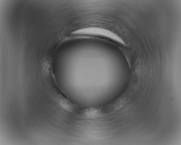 X0000071940235200607212208