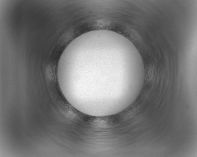 X0000071940236200607212208