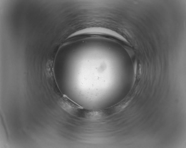 X0000071940237200607212208