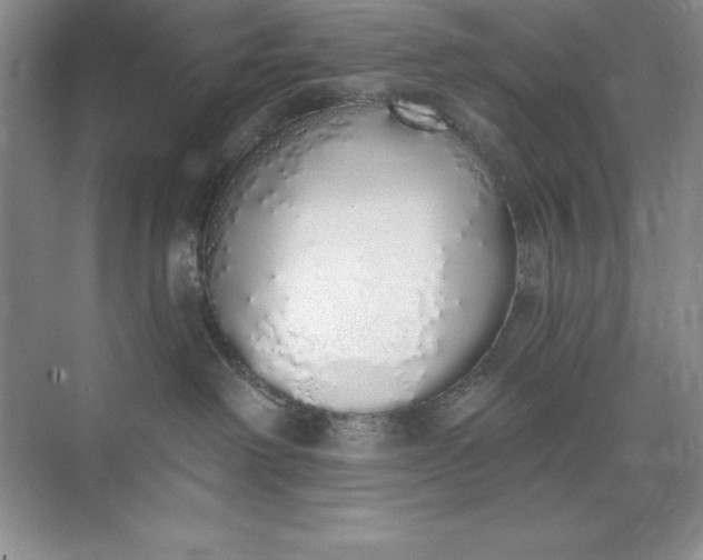 X0000071940238200607212208