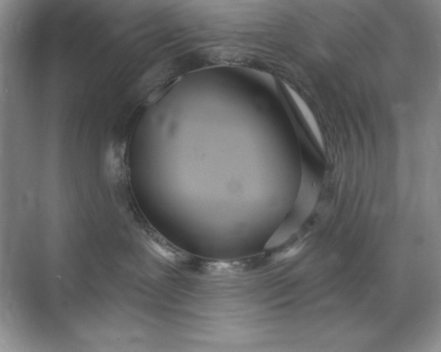 X0000071940239200607212208