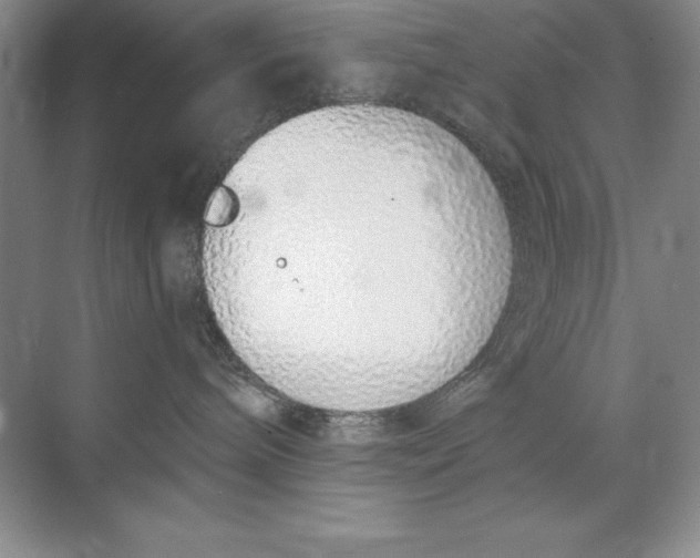 X0000071940240200607212208