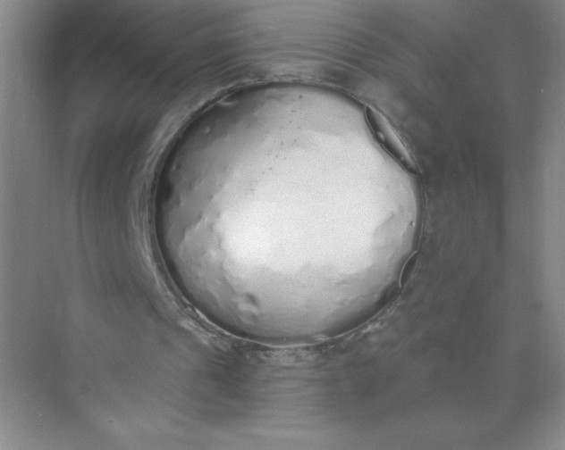 X0000071940241200607212208