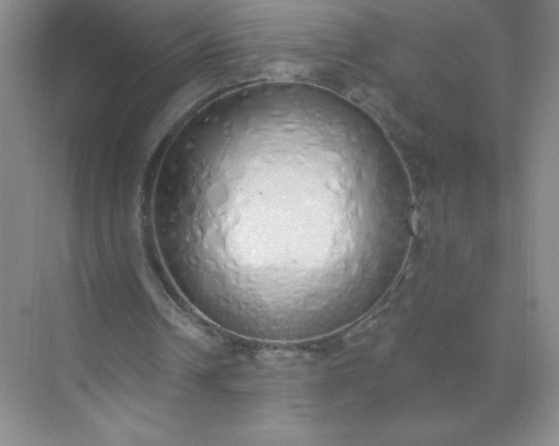 X0000071940242200607212208