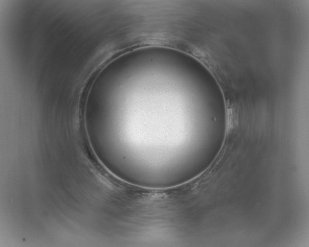 X0000071940243200607212208