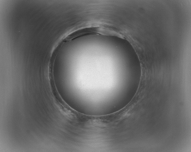 X0000071940244200607212208