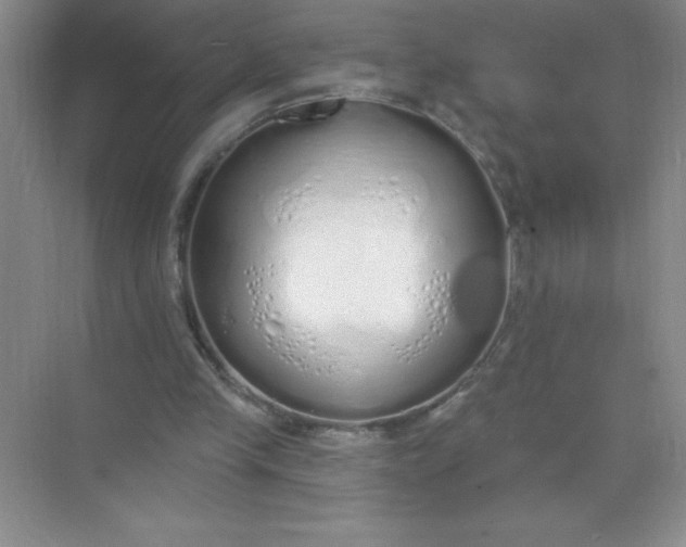 X0000071940245200607212208