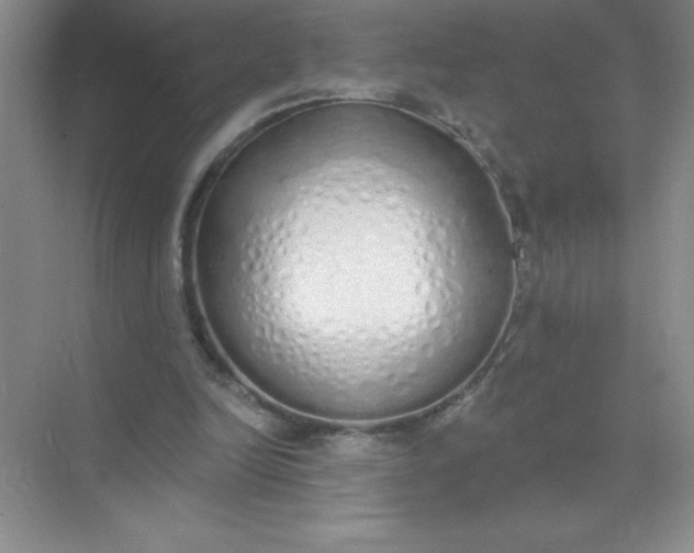 X0000071940246200607212208