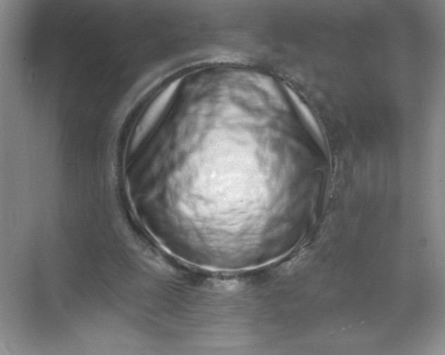 X0000071940247200607212208