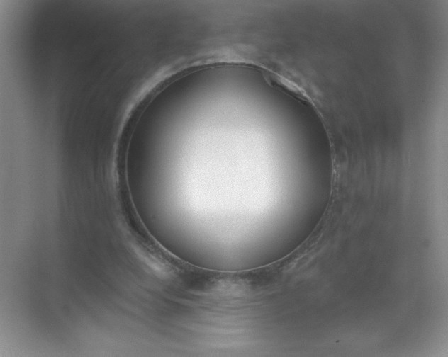 X0000071940248200607212208