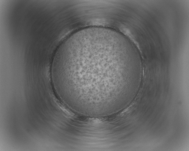 X0000071940249200607212208