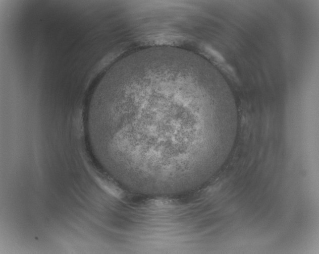 X0000071940250200607212208