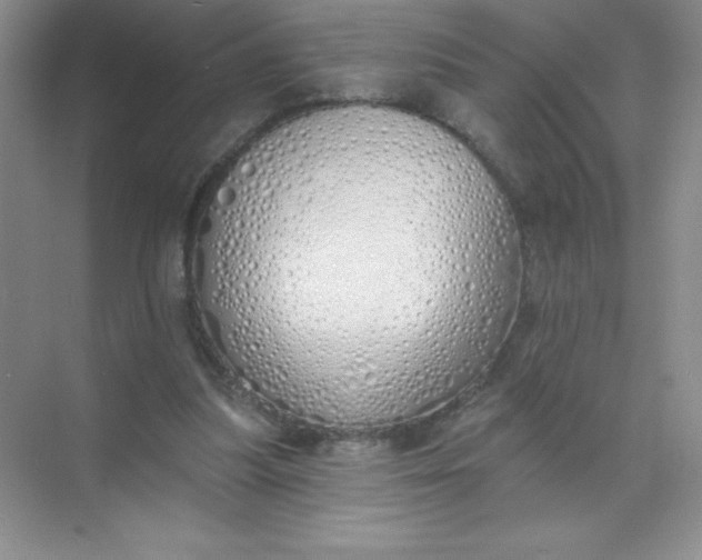 X0000071940251200607212208