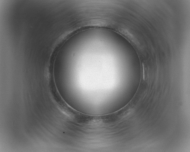 X0000071940252200607212208