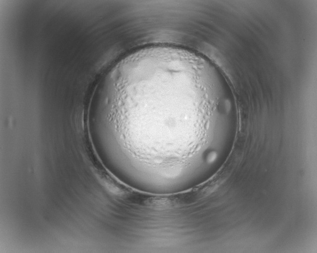 X0000071940253200607212208