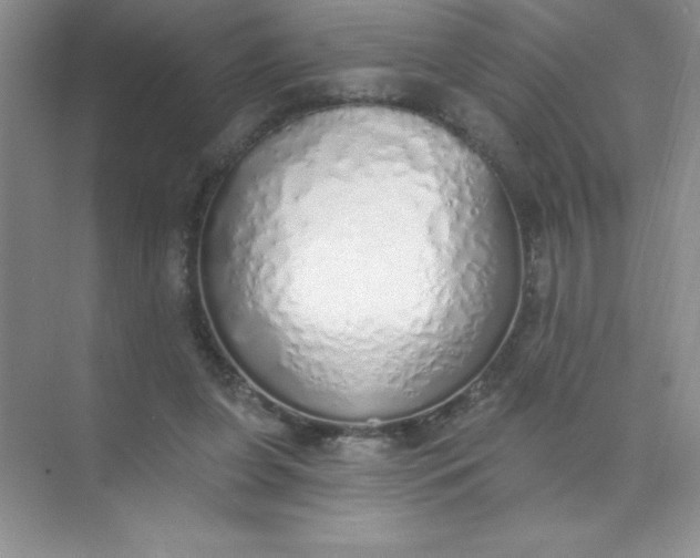 X0000071940255200607212208