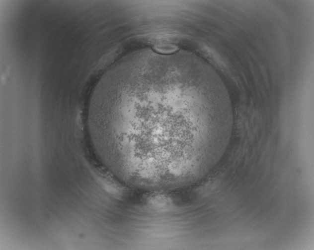 X0000071940258200607212208