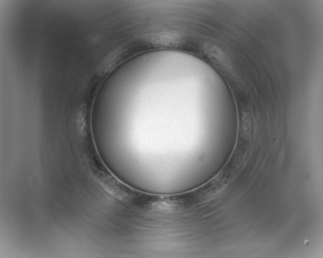 X0000071940259200607212208