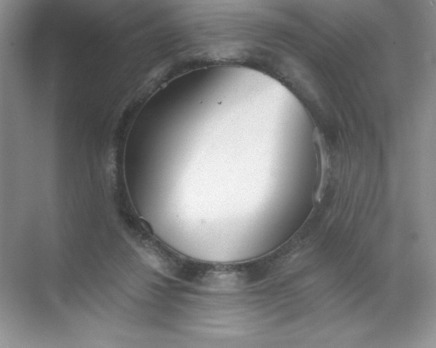 X0000071940260200607212208