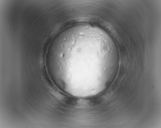 X0000071940261200607212208