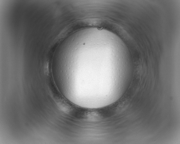 X0000071940262200607212208