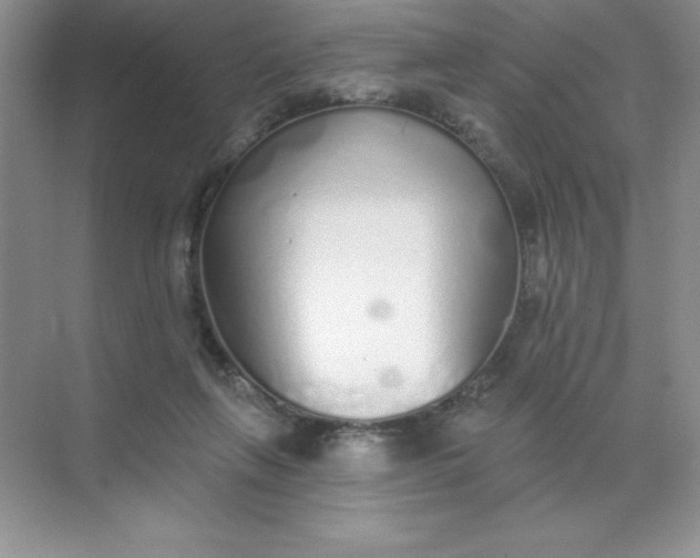 X0000071940263200607212208