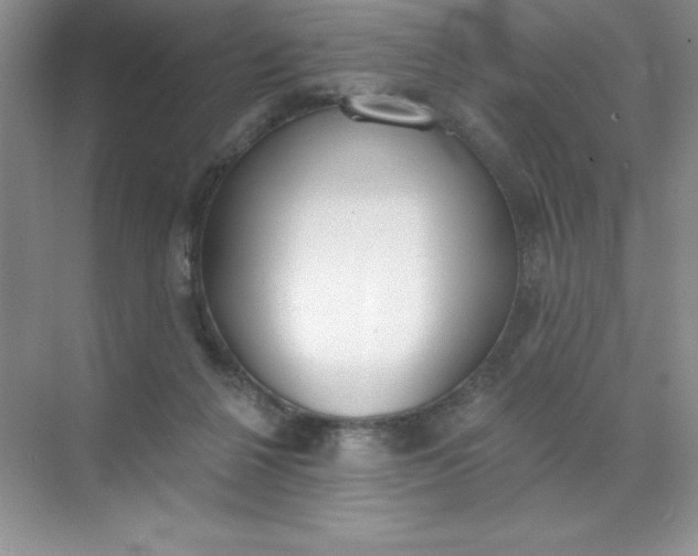 X0000071940264200607212208