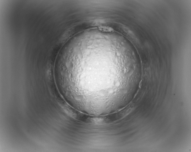 X0000071940265200607212208