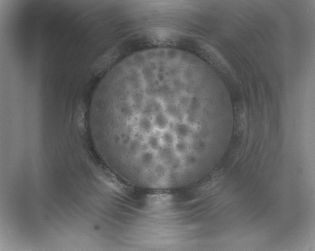 X0000071940266200607212208