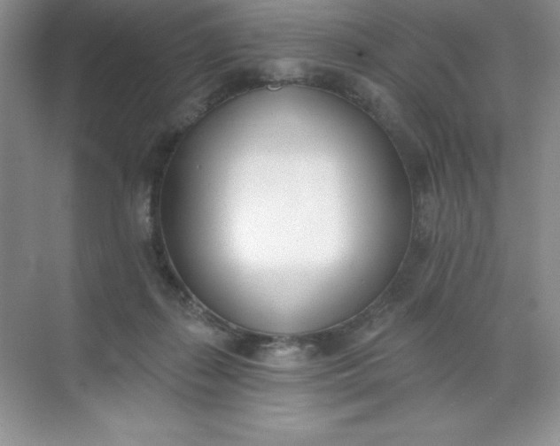 X0000071940267200607212208