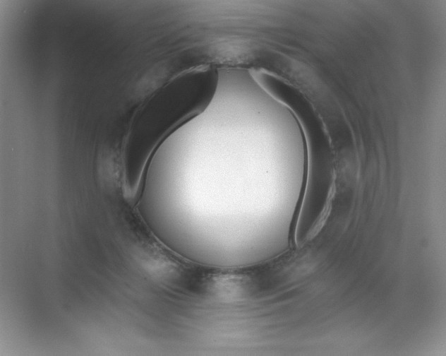 X0000071940268200607212208