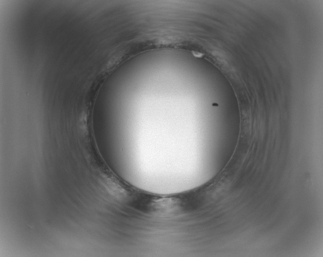 X0000071940269200607212208