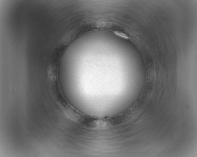 X0000071940272200607212208