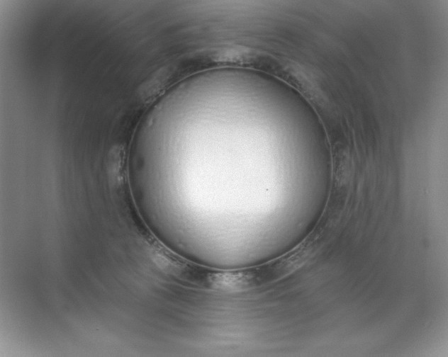 X0000071940273200607212208