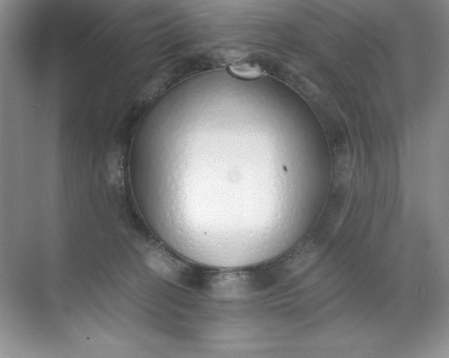 X0000071940274200607212208