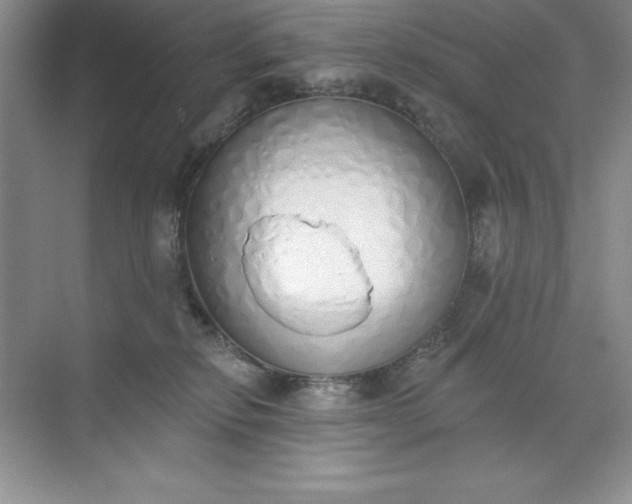 X0000071940278200607212208