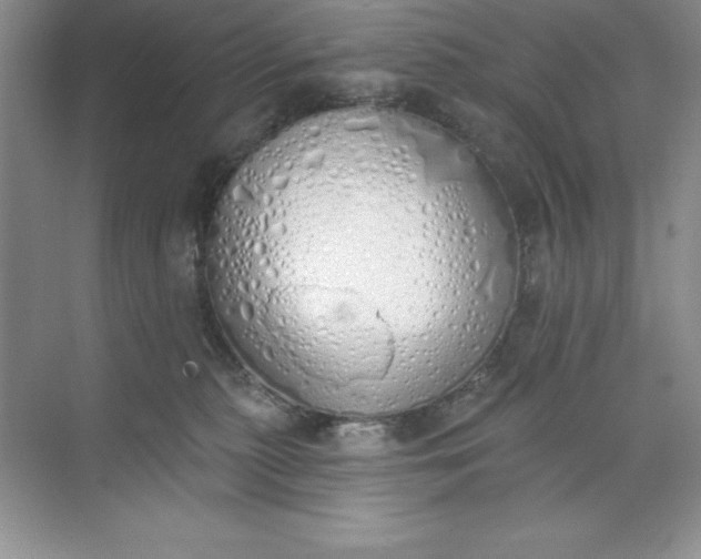 X0000071940279200607212208