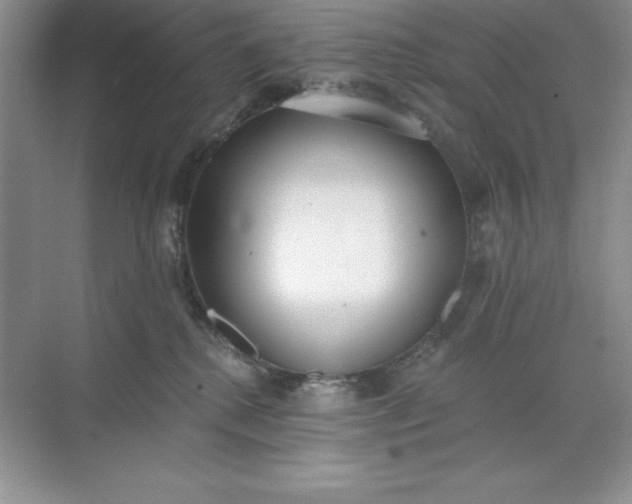 X0000071940280200607212208