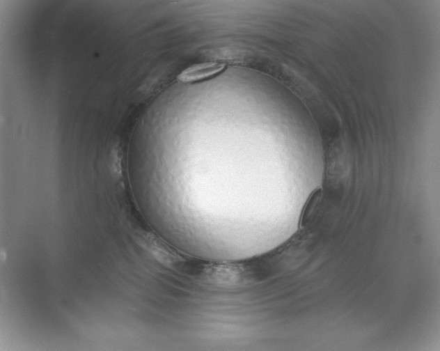 X0000071940282200607212208