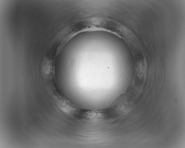 X0000071940284200607212208