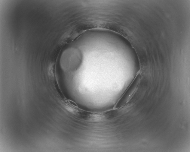 X0000071940286200607212208