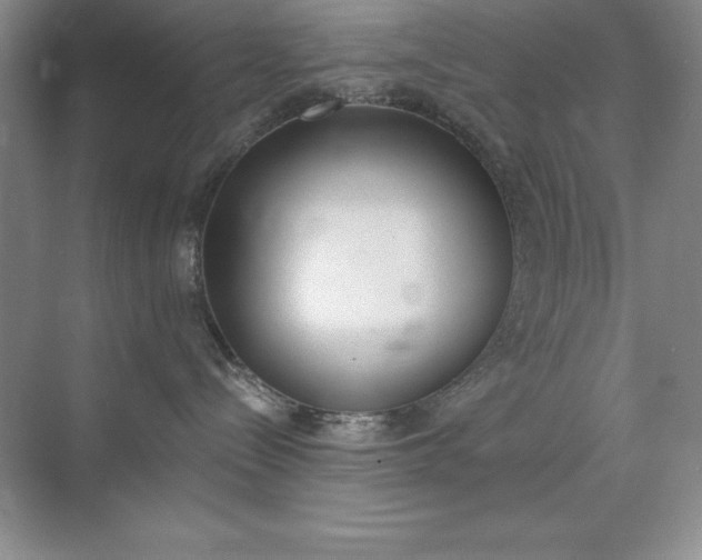 X0000071940288200607212208