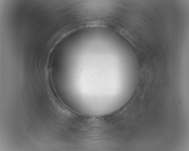 X0000071940290200607212208