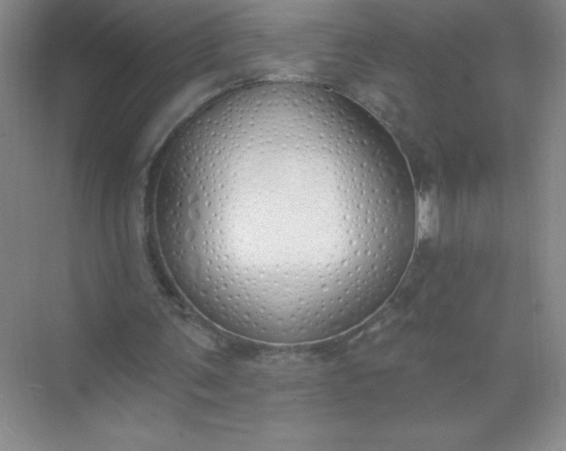 X0000071940291200607212208