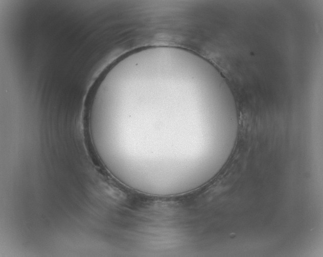 X0000071940292200607212208