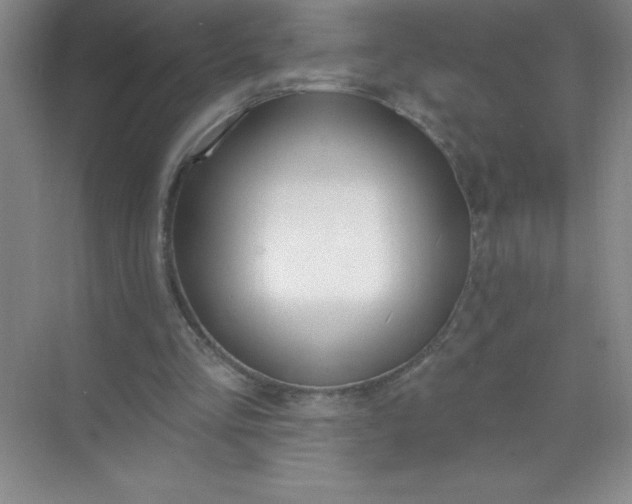 X0000071940293200607212207