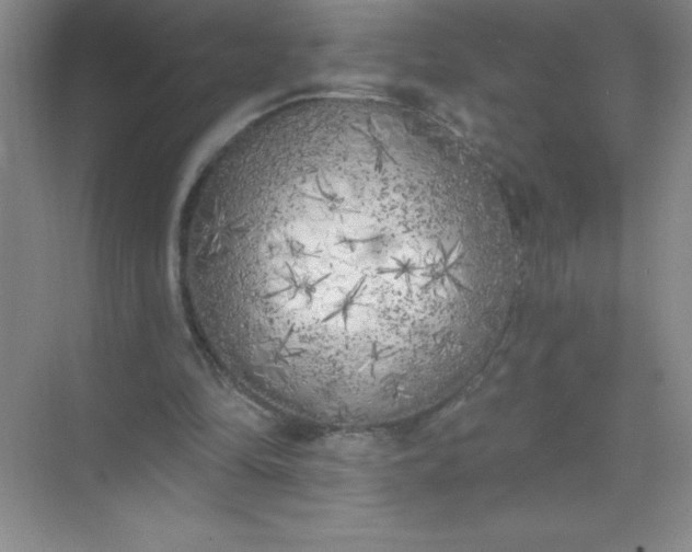 X0000071940294200607212207